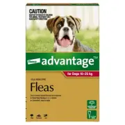 Advantage Flea Control for Dogs Over 25kg