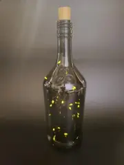 Glass Bottle Irish Cream Cork Light Bottle Lamp