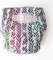 Monarch Ultimate Wipeable Cloth Nappy with Hook and Loop Closure, Rainbow Realm