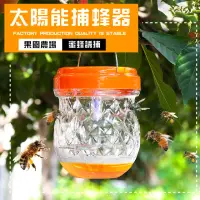 在飛比找momo購物網優惠-太陽能捕蜂器(戶外 果蠅誘捕器 果蠅器 黄蜂捕捉器 露營 蒼