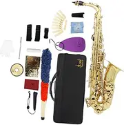 yuksok Alto Saxophone Storage Case Professional Portable Beginners Musical Instrument Orchestra Performance Instrument for Practice, gold