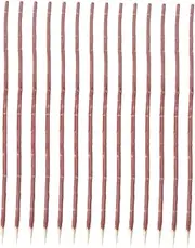 100pcs BBQ Skewers Wooden Forks Corn Barbecue Tools Comfortable to Hold for Family Bbqs