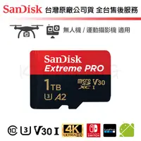 在飛比找蝦皮購物優惠-【台灣保固】Sandisk Extreme PRO 1TB 