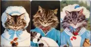 Swap cards Modern playing card back set of 3 Cats in hats and dresses