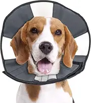 ZenPet 5919 Zen Cone 30.5 – 38.1cm, Blue, Medium