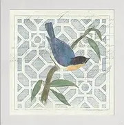 Frame Company Watson Range Monument Etching Tile I Blue Bird by Wild Apple Portfolio, Frame - 12 x 12 Inches, White