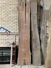 Spotted Gum 3.37m Timber Slab GNT4256