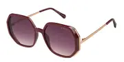 Radley RDS 6538 162 Men's Sunglasses Burgundy Size 56