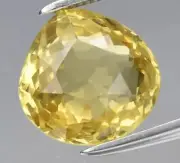 3.64Ct Rare Yellow Apatite 9.3 X 9.3 mm