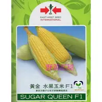 在飛比找蝦皮購物優惠-【野菜部屋~】N05 黃金水果玉米種子一磅裝 , 果穗比一般