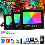 Outdoor Garden Lighting Tuya Smart RGB Flood Light LED Wifi Bluetooth Spotlight