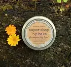 lip balm , herbal chapstick , lanolin salve , moisturizer , aforagerscollective