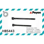Payen Cylinder Head Bolt Set - HBS443