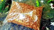 Coconut Husk Chips Orchids Anthurium Growing Dry Organic coco coir chips 400g