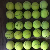 在飛比找蝦皮購物優惠-二手網球 一顆5元 Slazenger Wilson Hea