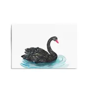 Black Swan Australian Animal Nursery Wall Art