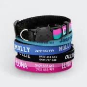 Personalised Cat Collar