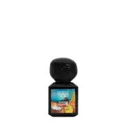 Lorenzo Pazzaglia Summer Hammer Perfume Extract 28ml