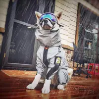 在飛比找樂天市場購物網優惠-寵物雨衣 狗狗雨衣大型犬雨披金毛邊牧狗狗雨衣四腳防水全包圍狗