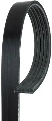 For 1988 Ford Thunderbird 2.3L Serpentine Belt Gates 160IA33 (for: Ford)