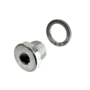 Land Rover Discovery II Range Rover P38 Transmission Oil Pan Drain Plug + Washer (for: Land Rover)