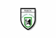 PATCH PATCHES EMBLEM IRON ON GLUE PRINT FLAG world crest italy marches