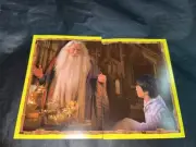 Harry Potter & Albus Dumbledore Jumbo Italian Sticker (2 piece)