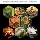 UVA Reptile Light Multifunctional Reptile Heat Lamp Bulb UVA Heat For Tortoise