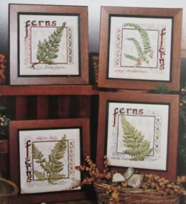 Ferns - Magazine Cross Stitch Pattern - Pine Rosy Maidenhair Alpine Lady Shield