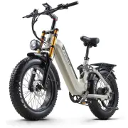 [EU DIRECT] CEAYA A20pro Electric Bike 48V 20Ah 500W 20in Folding Electric Bike 70-100KM Mileage Disc Brake 150KG Max Lo