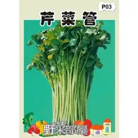 在飛比找蝦皮購物優惠-【萌田種子~蔬菜種子】P03 芹菜管種子1斤 , 又稱~粗管