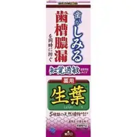 在飛比找O!MyGod購物商城優惠-【小林製藥 】日本 生葉 護齦牙膏-100g