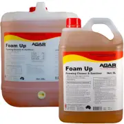 Agar Foam Up Cleaner and Sanitiser