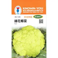 在飛比找蝦皮購物優惠-愛上種子 綠花椰菜 蕾球為黃綠色 每包約0.8公克(g) 農