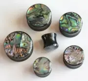 Abalone Shell Double Flare Acrylic Earring Ear Plug Tunnel Gauges Pearl Metallic