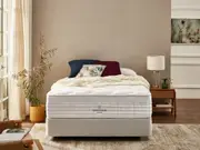 SleepTailor® Platinum Mattress & Base - King / Plush / Plush