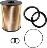 Fuel Filter Kit with O-Rings & Seals for 2002-2008 Mini Cooper R50 R52 R53 A898 16146757196