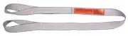 Lift-All Ee2804ttx6 Web Sling, Type 4, 6 Ft L, 4 In W, Polyester, Silver