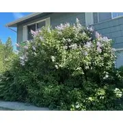 Lovely 2 Bedroom, Minutes From Down Town!