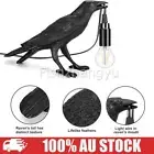 Raven Lamp Light Black Novelty Bird Crow Wall Desk Table lamp Decoration OZ