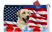 Labrador Retriever Yellow Patriotic Mail Box Cover