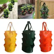 With Handles Garden Planting Bag PE Planting Nursery Pot Strawberry