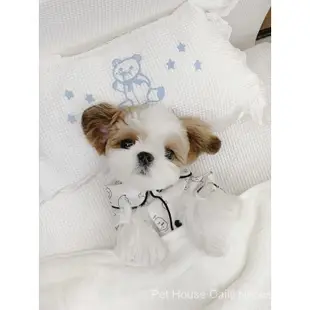 ✍️寵物用品 狗衣服薄款網紅小熊維尼圖案家居睡衣襯衫寵物泰迪博美小狗狗服飾