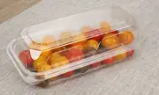 , Clear Plastic Square Hinged Food Container, 5" Length x 9" Width x 3" Depth...