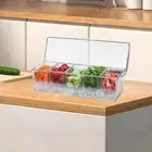 Chilled Condiment Server Caddy Food Container for Hotdog Cart, Entertaining