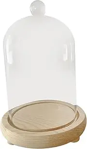 Fonowx Cloche Glass Dome Display Bell Jar Wooden Base Portable Multipurpose Display Case for Home Decor Accent Piece, 10x16cm