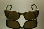 Authentic B. PERREIRA Sunglasses DUTCHIE 57 Men Col Fern Gully / Vintage Brown