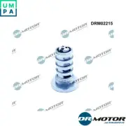 CONTROL VALVE CAMSHAFT ADJUSTMENT DRM02215 FOR VW PASSAT/B7/CC/B6/ALLTRACK/B8