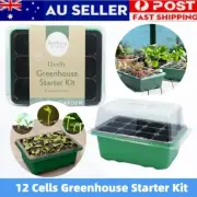12 Cells Greenhouse Starter Kit Garden Nursery Seedling Tray Plant Seed Grow Box