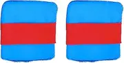 Cat Hair Remover | Carpet Hair Removal Tool Cleaner | 2X Reusable Lint Brush Cleaner, Detailing Supplies Cleaning Tools for Clothes, Bedding, Carpet, Furniture, Car Seat